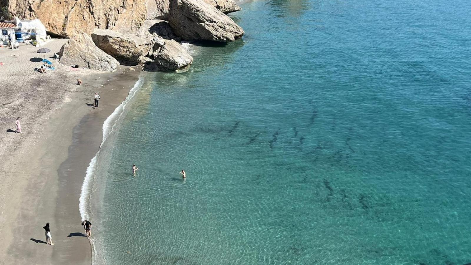 Delfin Appartement