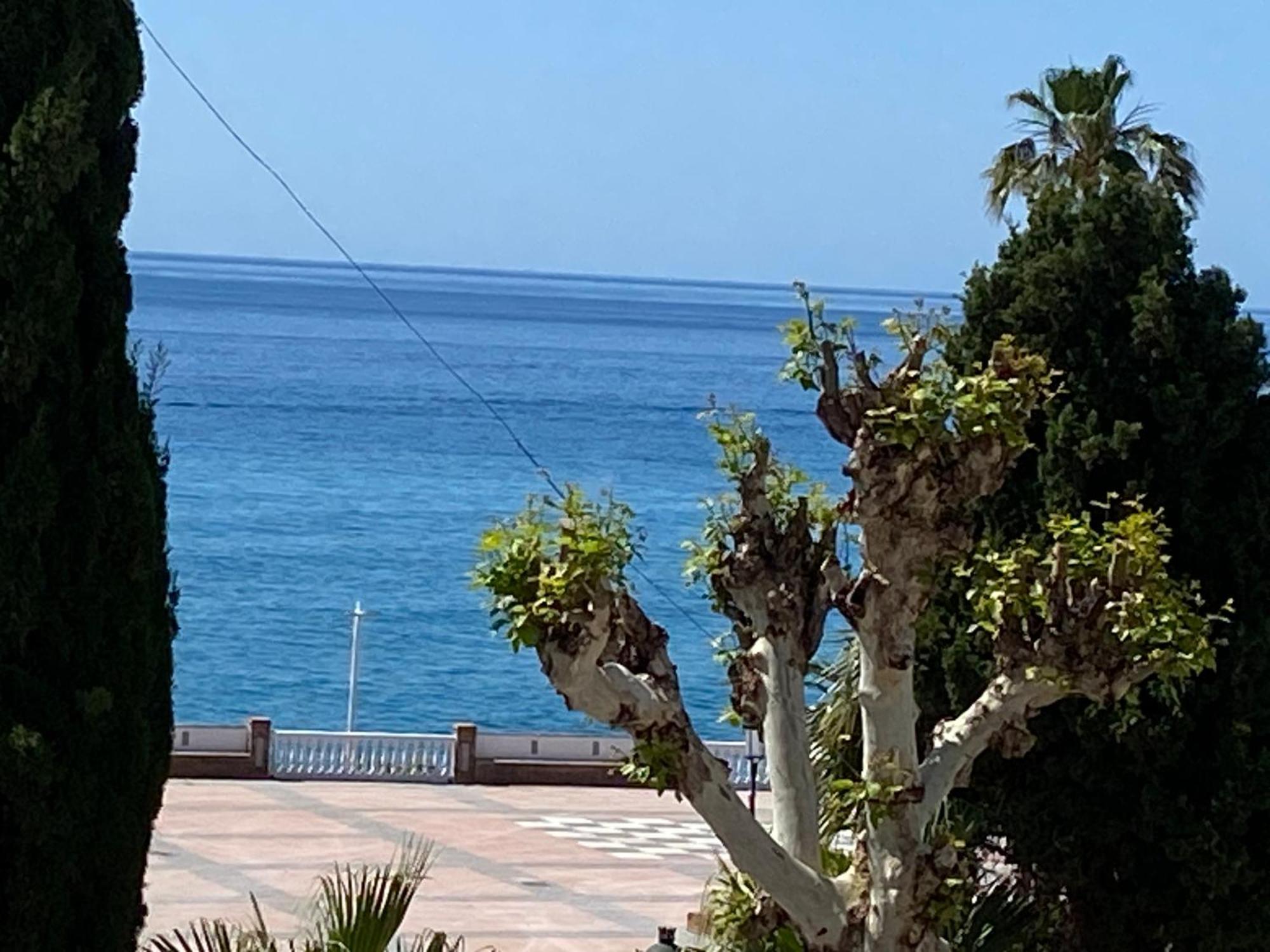 Appartement Delfin